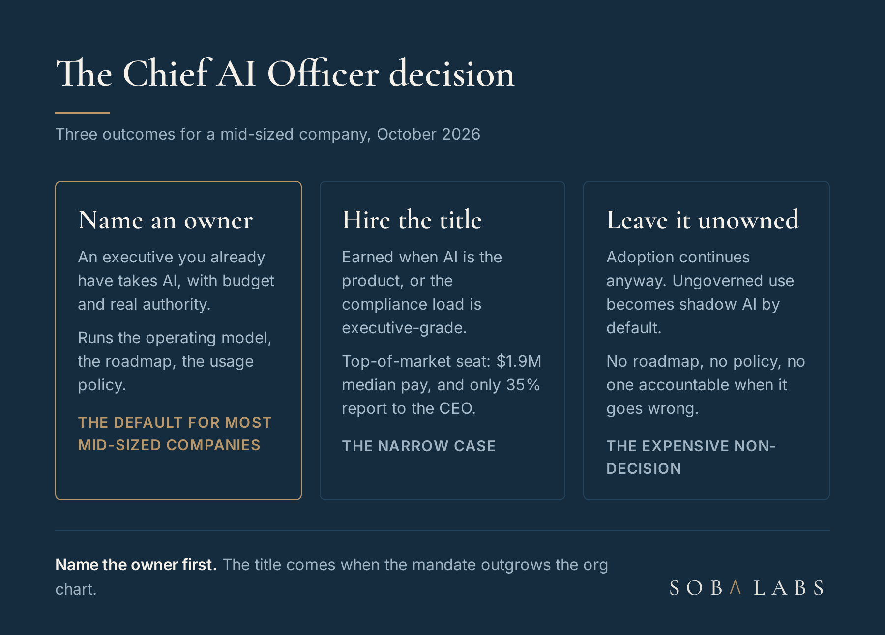 Comparison card with three columns, name an owner now for most mid-sized companies, hire the title when AI is the product or the compliance load is executive-grade, and leave it unowned which defaults to shadow AI, with a verdict line under each